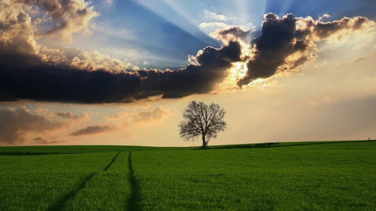 Autorzy stwierdzają również, że poprawia się kondycja psychiczna młodych ludzi