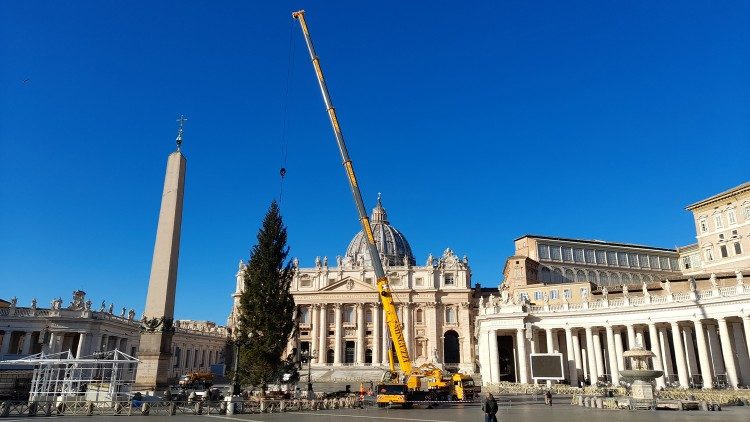 Preparativos para a inauguração da árvore de Natal na Praça São Pedro 
