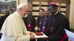 (File photo) Mozambican Bishops with Pope Francis.