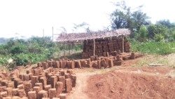 아프리카 선교회가 추진하는 라이베리아의 한 공사 현장. 베드로 성금은 여러 수도회의 활동도 지원한다.