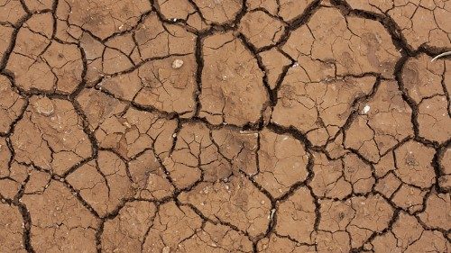 Le conseguenze dei cambiamenti climatici