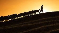 Dominika ya nne ya Kipindi cha Pasaka inajulikana kama Dominika ya Mchungaji Mwema, kama Yesu anavyo jiongelea mwenyewe kuwa ni “Mchungaji mwema.”