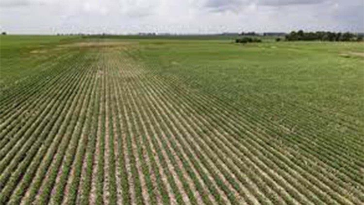 2022.01.11 Agricultura em Cabo Verde  **  Agricoltura in Capo Verde     Programma Portoghese