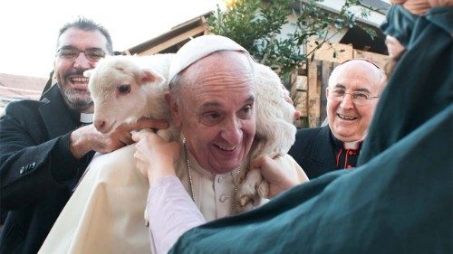 Papst: Das Herz des guten Hirten haben 