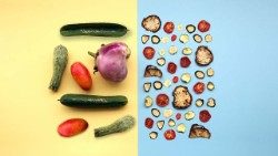 Il 5 febbraio si celebra la Giornata nazionale di prevenzione dello spreco alimentare