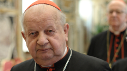 A missão pontifícia na Polônia será liderada por Stanisław Dziwisz, arcebispo emérito de Cracóvia
