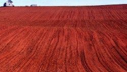 2022.06.30 terra di rossa