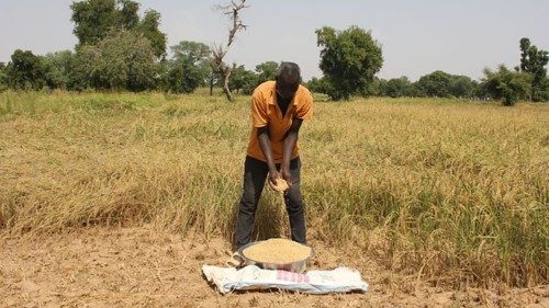 Onu: allarme malnutrizione in Africa Occidentale e Sahel, ai massimi da 10 anni