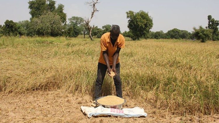 Un contadino della regione  africana del Sahel 