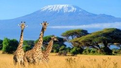 Mlima Kilimanjaro nchini Tanzania.