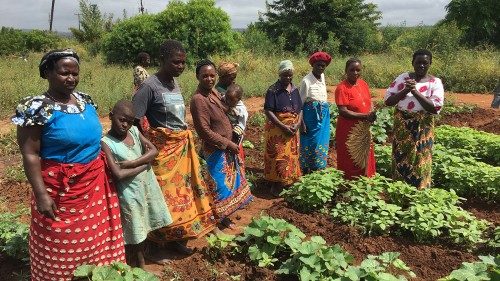 Gli orti di Sant'Egidio e Slow Food in Malawi 