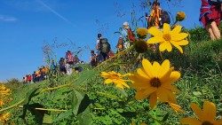 Peregrinos em marcha