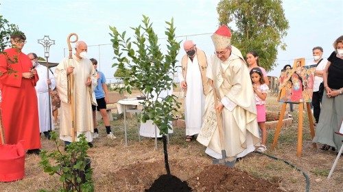 Il vescovo Ruzza pianta un albero nel Giardino Laudato si’ nato a Ladispoli