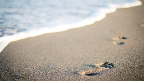 Skjelning: 6. Skjelningens elementer. Vår egen livshistorie