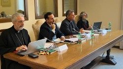 En la reunión del 28 y 29 de noviembre en el Vaticano han participado, entre otros, Monseñor Luis Marín de San Martín, Subsecretario del Sínodo; Mauricio López, quien fuera Secretario Ejecutivo de la REPAM; la Hna. Nathalie Becquart, Subsecretaria del Sínodo.