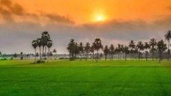 ഇന്ത്യയിൽ നിന്നുള്ള കാഴ്ച്ച 
