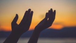 Polscy biskupi apelują o modlitwę w intencji pokoju