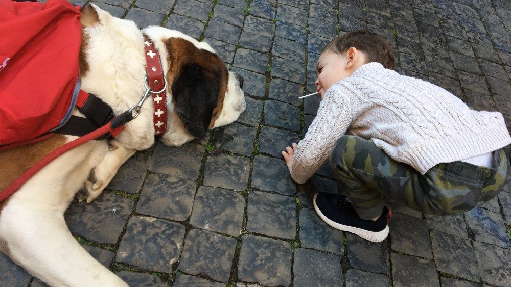 Der Bernhardinerhund Magnum war am Schluss doch ein bisschen müde, dennoch hatten etliche Kinder in der Kaserne der Schweizergarde Freude an dem Gast aus der Schweiz 