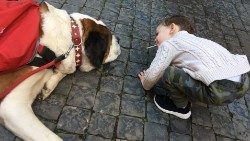 Der Bernhardinerhund Magnum war am Schluss doch ein bisschen müde, dennoch hatten etliche Kinder in der Kaserne der Schweizergarde Freude an dem Gast aus der Schweiz