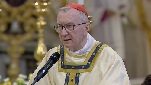 Le cardinal Parolin envoy&eacute; du Pape au Danemark