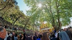 Zoja e Këshillit të Mirë, Shkodër