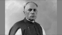 Pal. Teofilius Matulionis