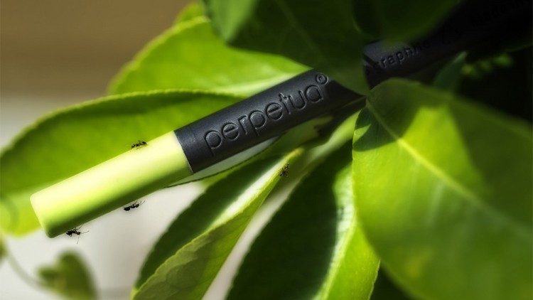 The Perpetua pencil produced by recovering graphite, a waste powder from landfills