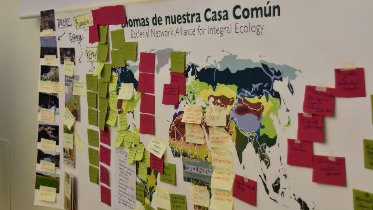 Redes Eclesiais para a Ecologia Integral se reúnem no Vaticano