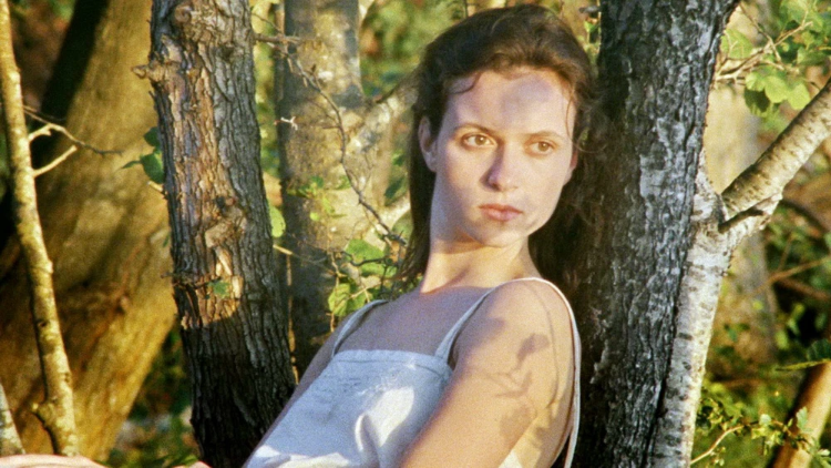 Unser Filmtipp: Die Purpursegel