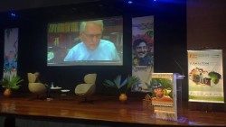 El cardenal Leonardo Ulrich Steiner, arzobispo de Manaos