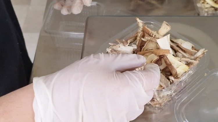 Una fase di preparazione dei cardoncelli