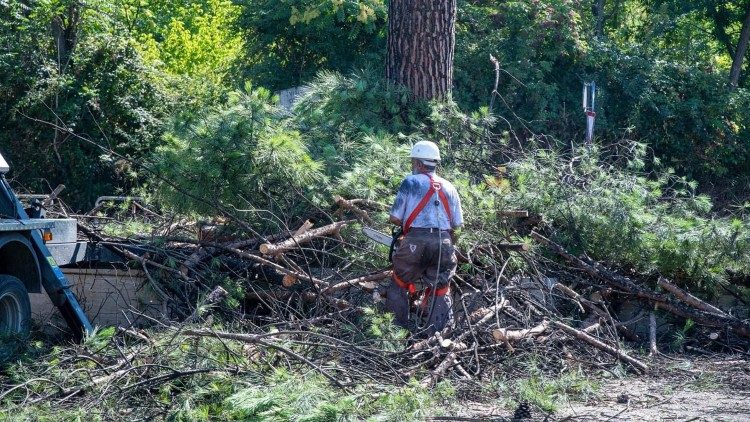 Iniciatyva „Žalioji mečetė“