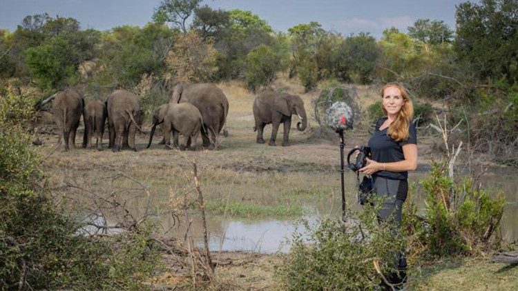 Angela Stöger bei einer Forschungsreise in Limpopo in Südafrika, November 2022