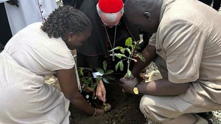 Kardinal Pietro Parolin u Južnom Sudanu sudjeluje u sadnji nekoliko stabala mira