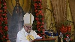 Le cardinal Stanisław Dziwisz, envoyé spécial du Pape François  au sanctuaire de Kodeń, ce mardi 15 août.