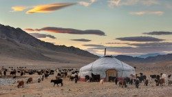 2023.08.22 Mongolia, paesaggio Mongolia, capre che circondano una yurta nella Mongolia occidentale
