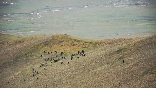 François, «Je serai en Mongolie comme un frère pour tous»