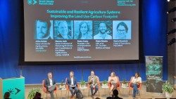 O painel de Paula Costa em Nova York na semana passada