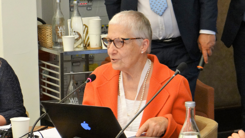 „Leo XIV. betont mit Gewaltfreiheit zentralen Aspekt des Friedens“