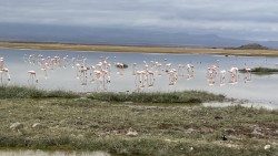 2023.10.23 Storia Laudato si' - Amboseli Kenya