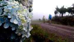 Peregrinos nos Caminhos de Caravaggio (Arquivo do Santuário)