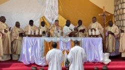 Messe des 50 ans du séminaire de Bangui au Cameroun.