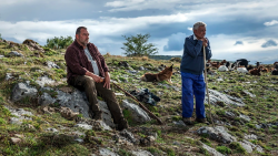 Unser Filmtipp: Wie wilde Tiere