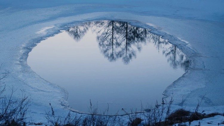 Unser Filmtipp: Evil Does Not Exist