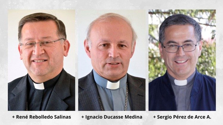 Los nuevos miembros del Comité Permanente de la CECh