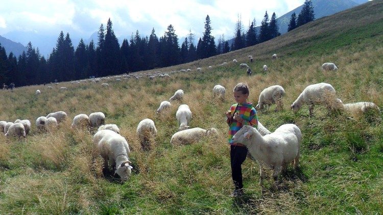 Bwana ni mchungaji wa Kondoo na kumtafuta anayepotea