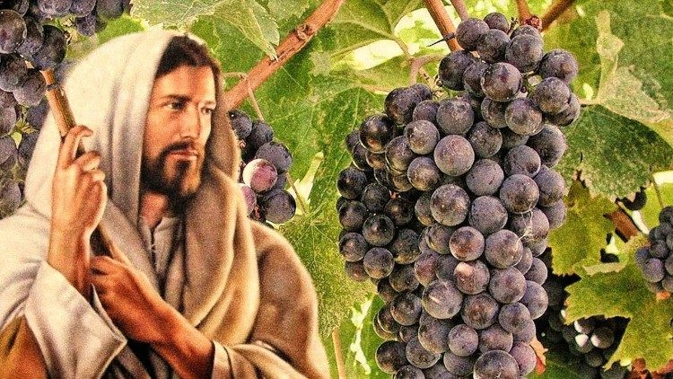 Photo d'illustration