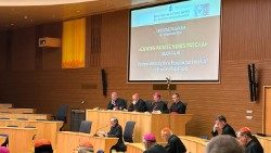 Un momento de la Asamblea Plenaria del Dicasterio para el Culto Divino, febrero de 2024
