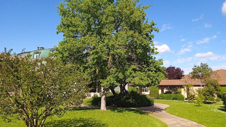 I Giardini sono realizzati da architetti specializzati e seguono percorsi circolari