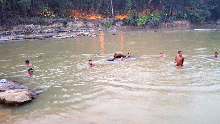 Fogo se alastra ao longo do rio Catrimani.